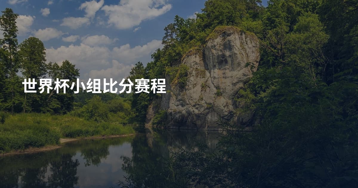 世界杯小组比分赛程