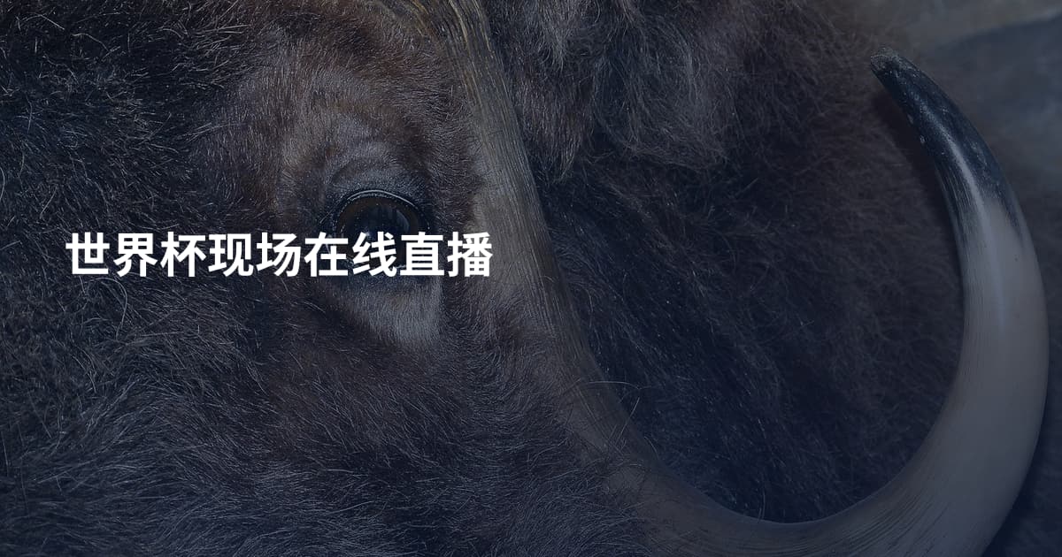 世界杯现场在线直播