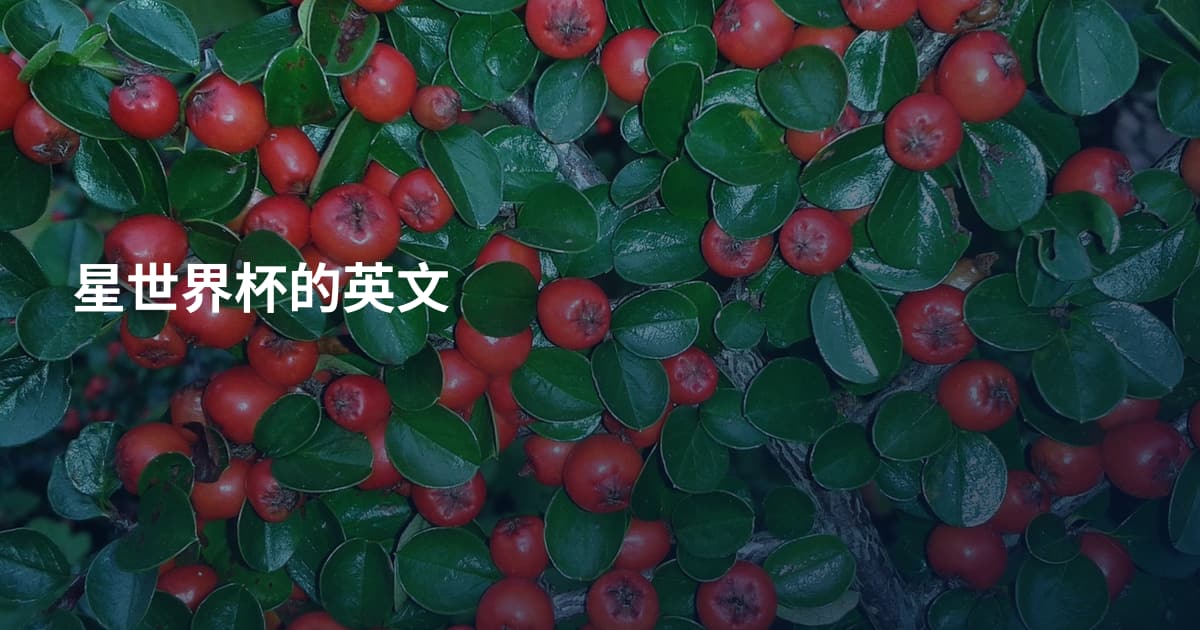 星世界杯的英文