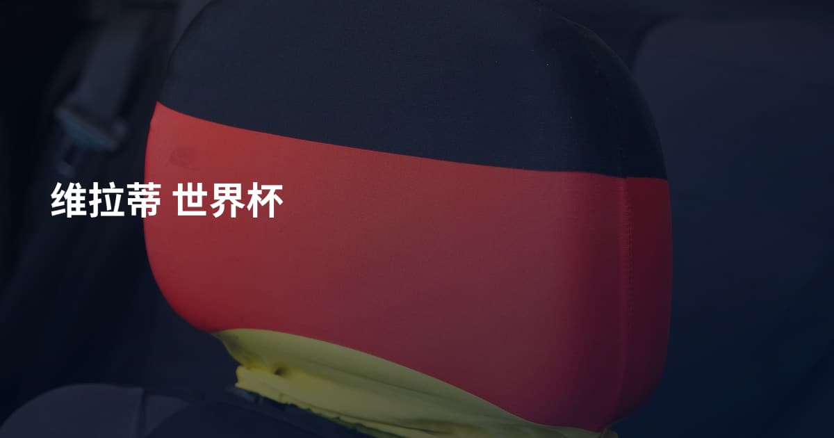 维拉蒂 世界杯