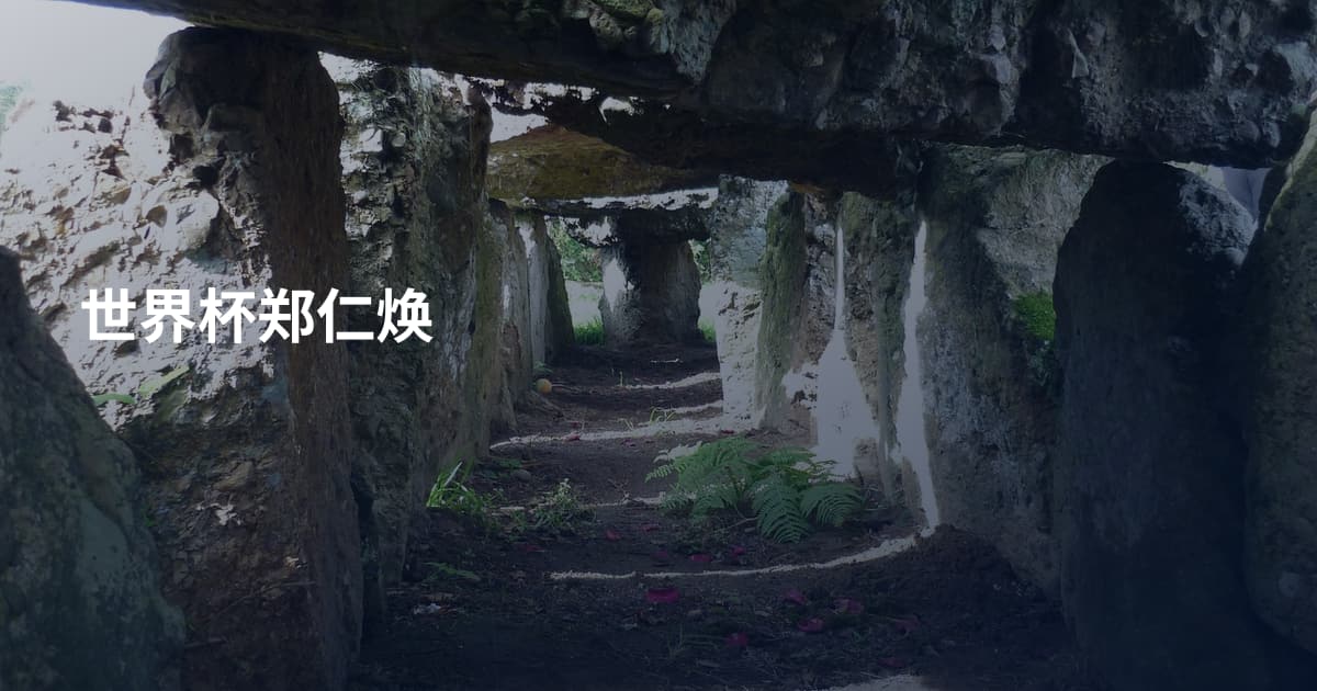 世界杯郑仁焕