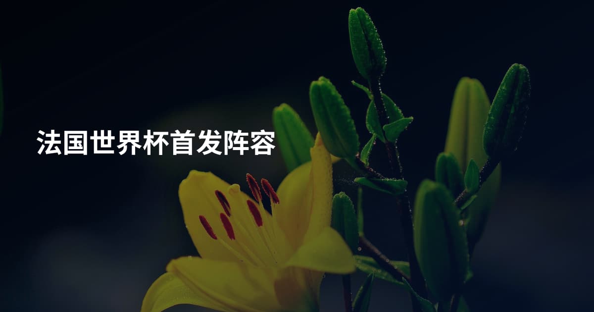 法国世界杯首发阵容