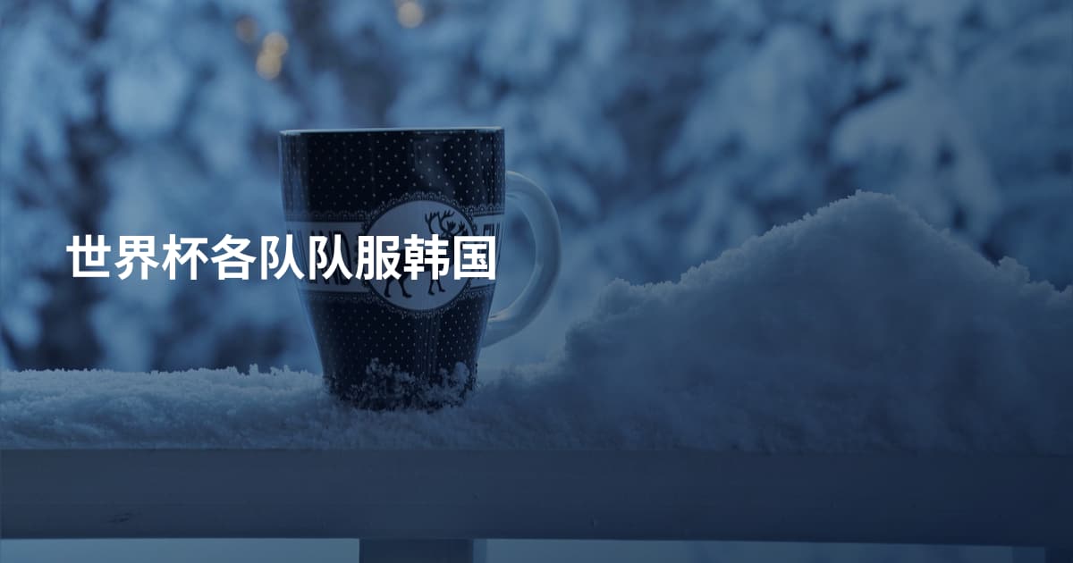 世界杯各队队服韩国