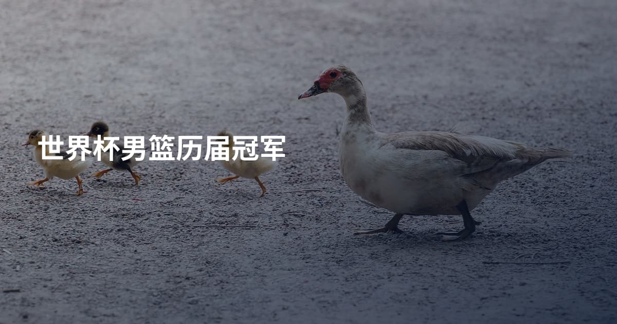 世界杯男篮历届冠军