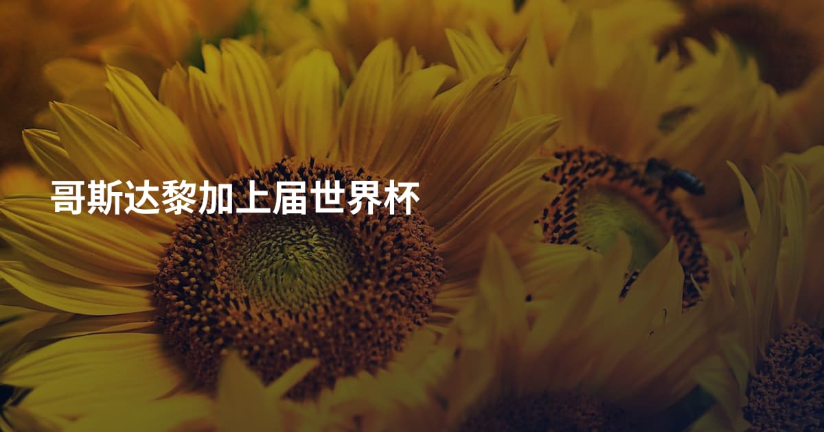 哥斯达黎加上届世界杯