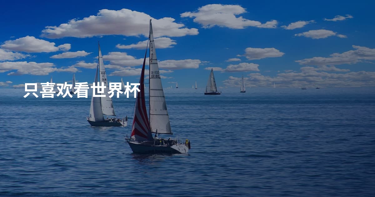 只喜欢看世界杯