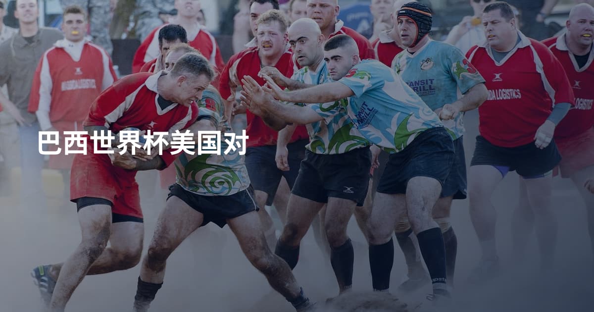 巴西世界杯美国对