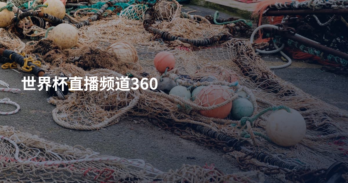 世界杯直播频道360