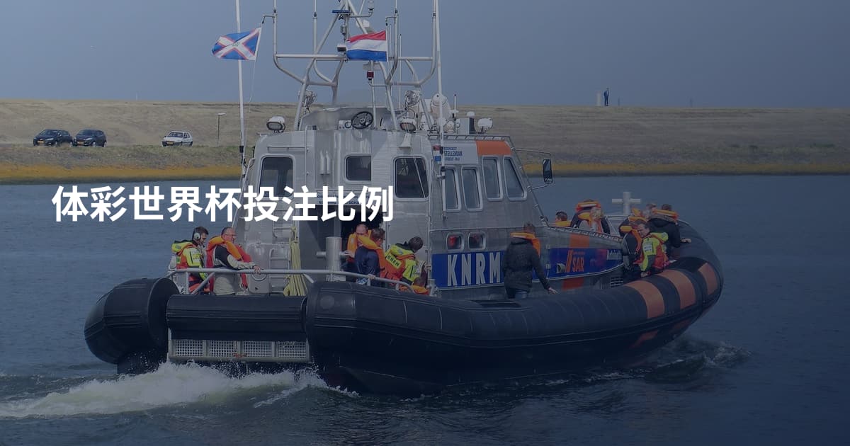 体彩世界杯投注比例