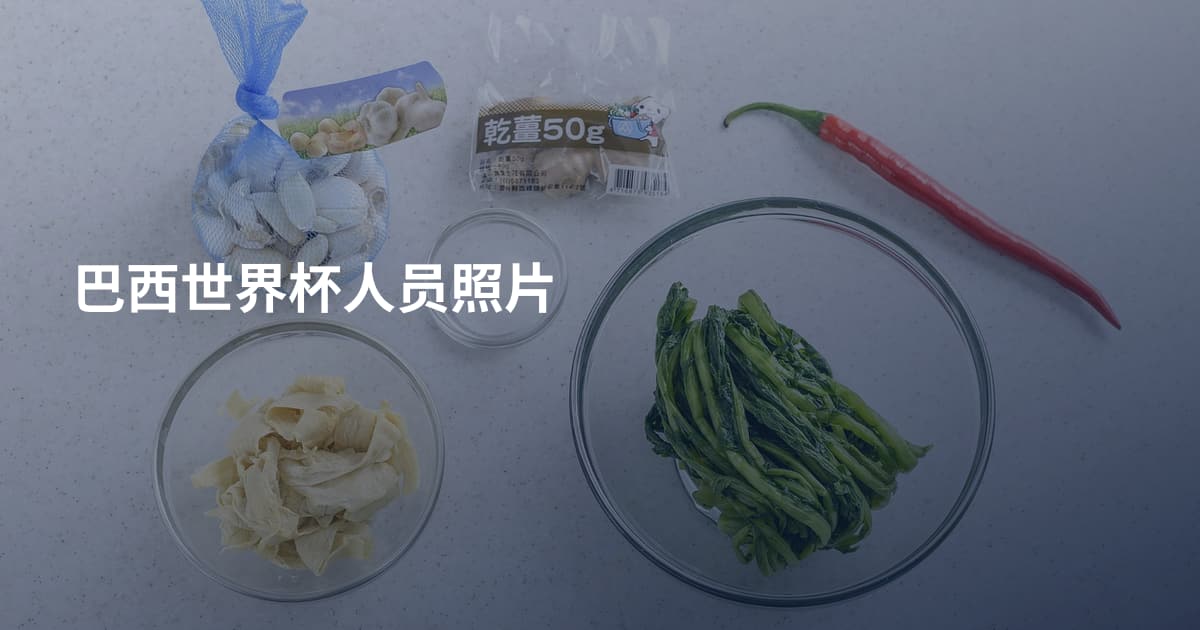 巴西世界杯人员照片