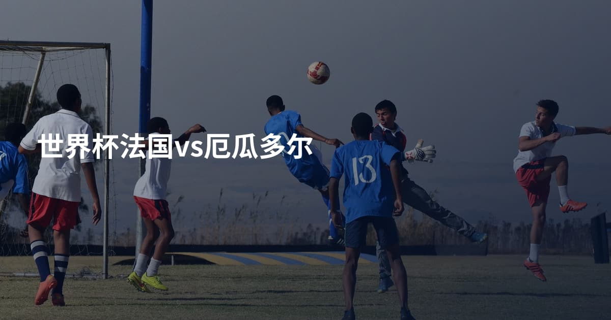 世界杯法国vs厄瓜多尔