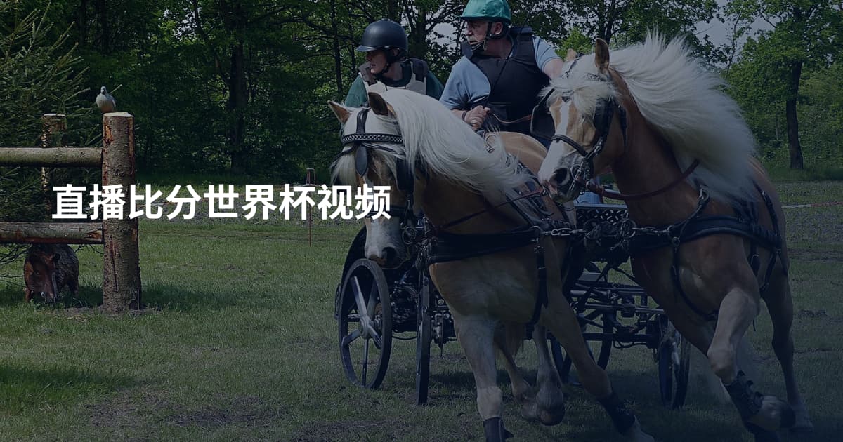 直播比分世界杯视频