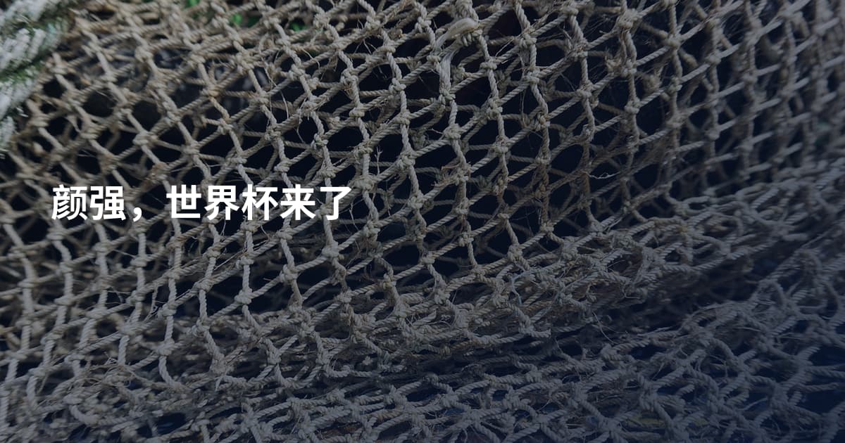 颜强，世界杯来了