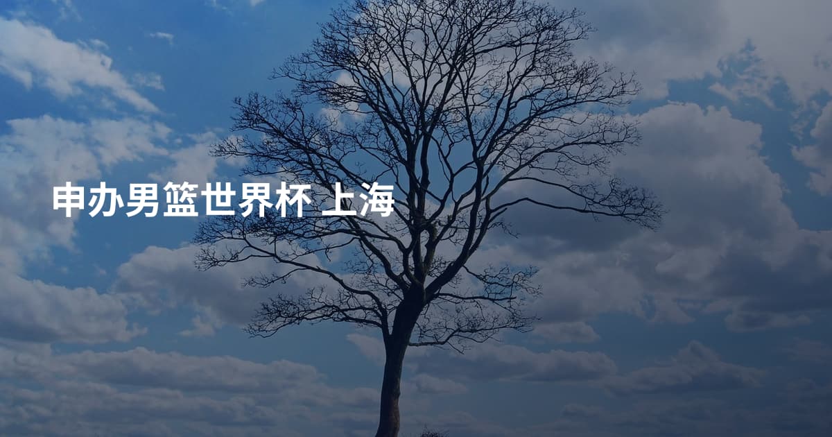 申办男篮世界杯 上海