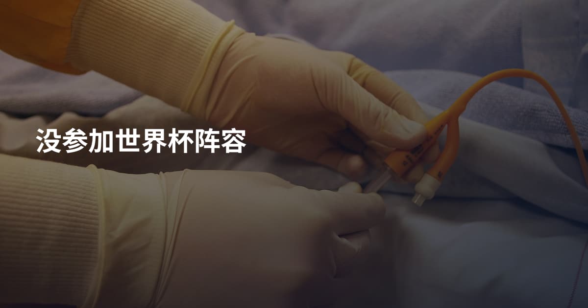 没参加世界杯阵容