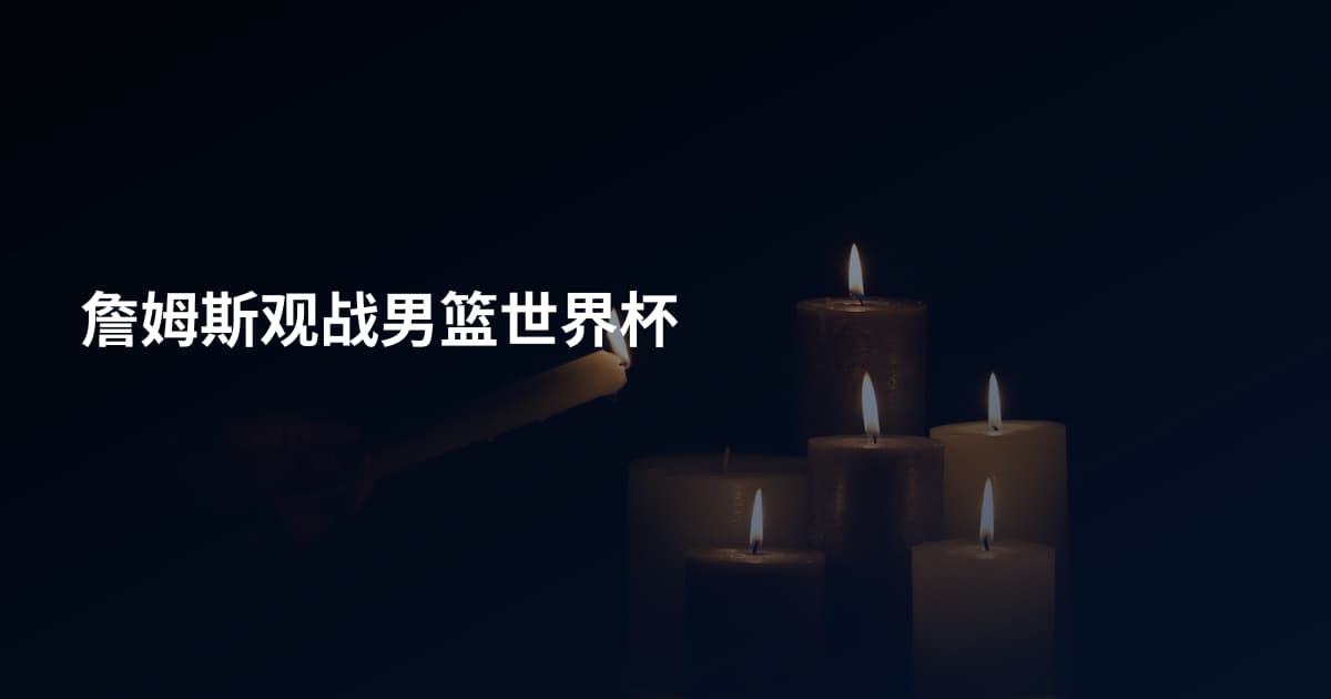 詹姆斯观战男篮世界杯