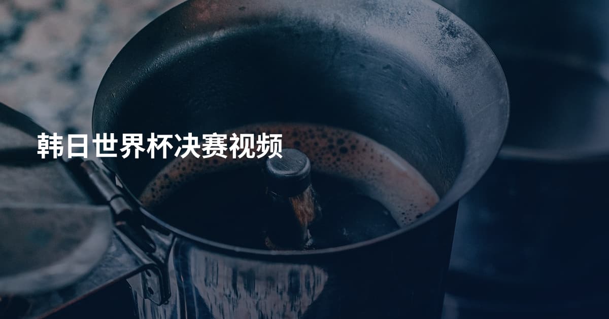 韩日世界杯决赛视频