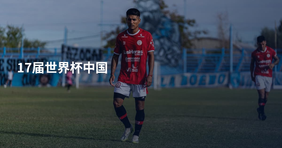 17届世界杯中国