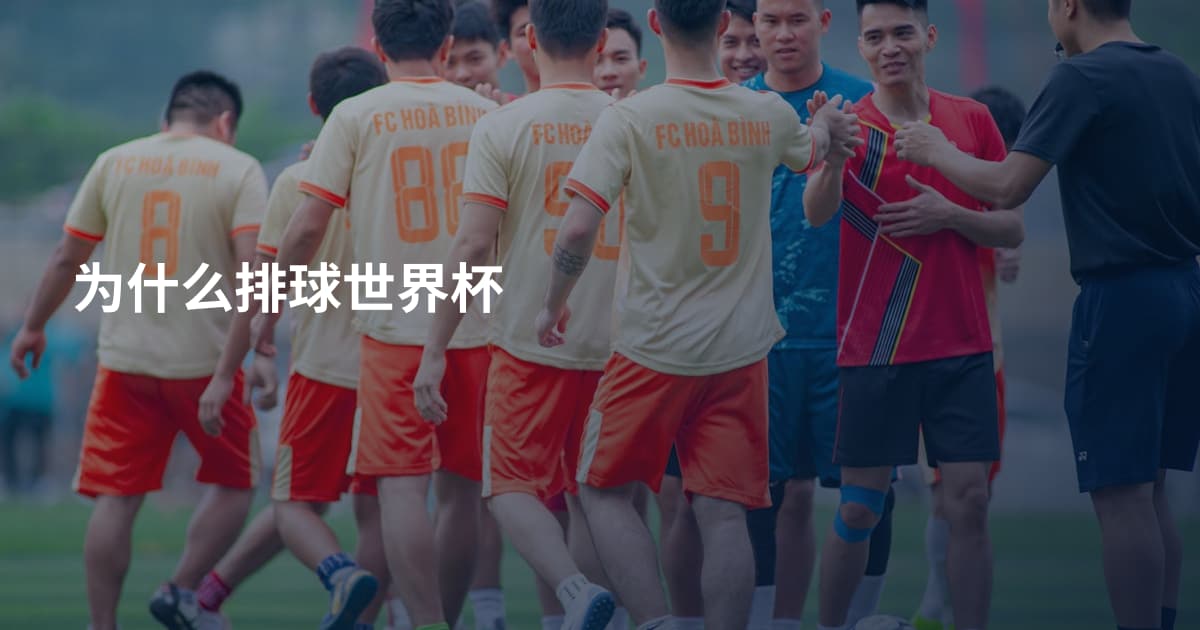 为什么排球世界杯