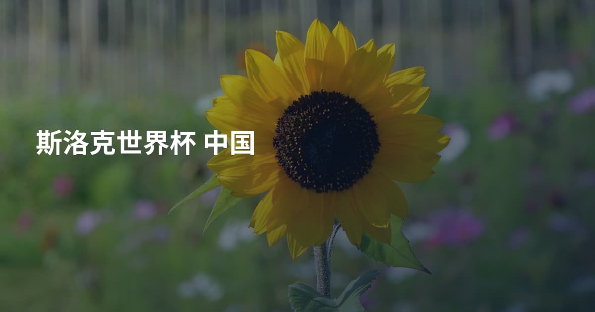 斯洛克世界杯 中国