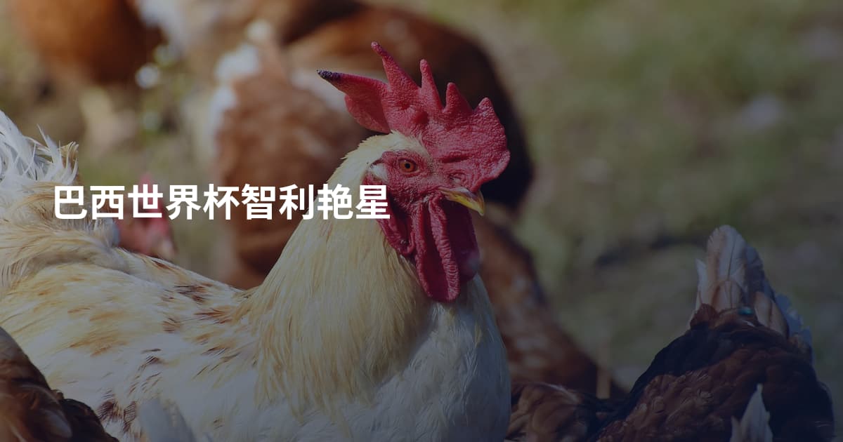 巴西世界杯智利艳星