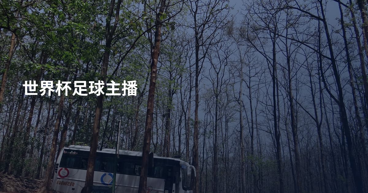 世界杯足球主播