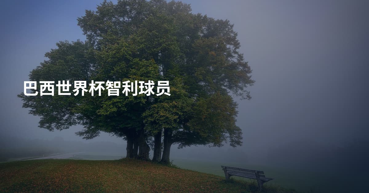 巴西世界杯智利球员