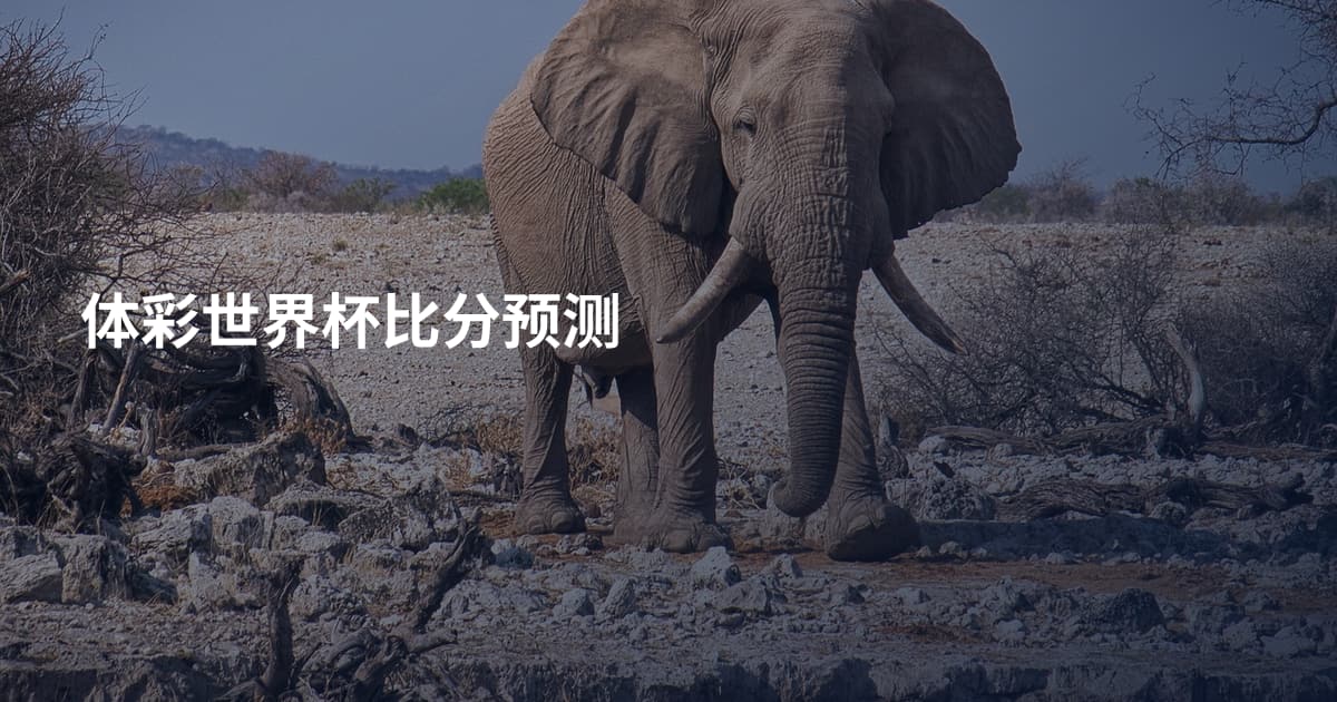 体彩世界杯比分预测