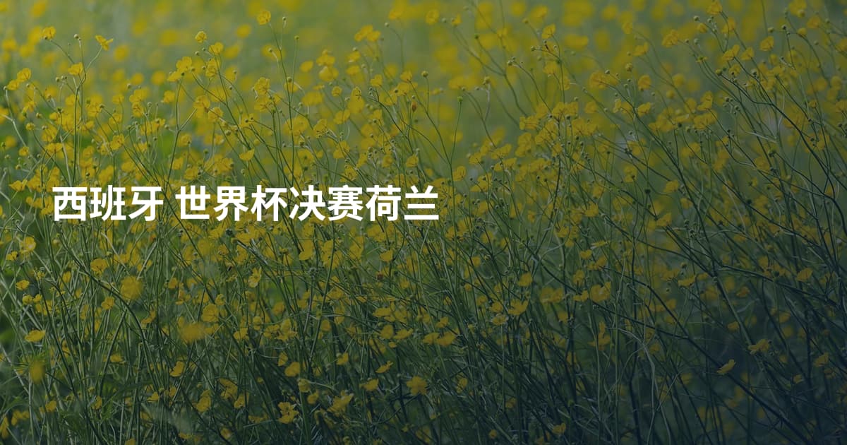 西班牙 世界杯决赛荷兰