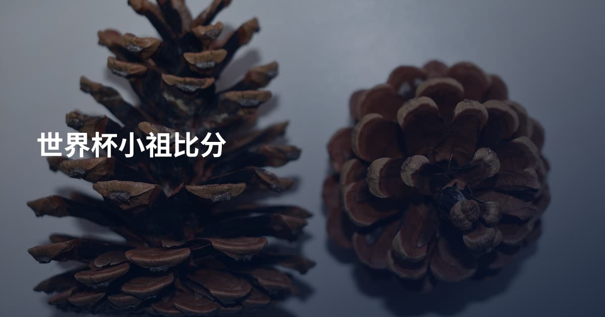 世界杯小祖比分