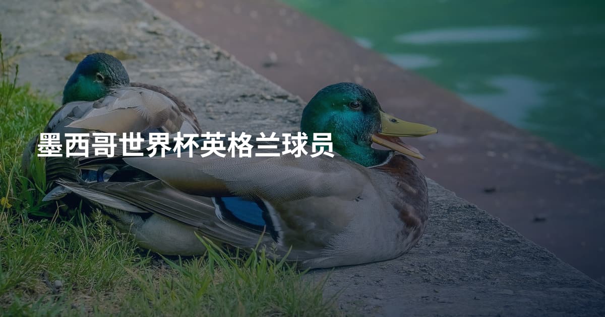 墨西哥世界杯英格兰球员