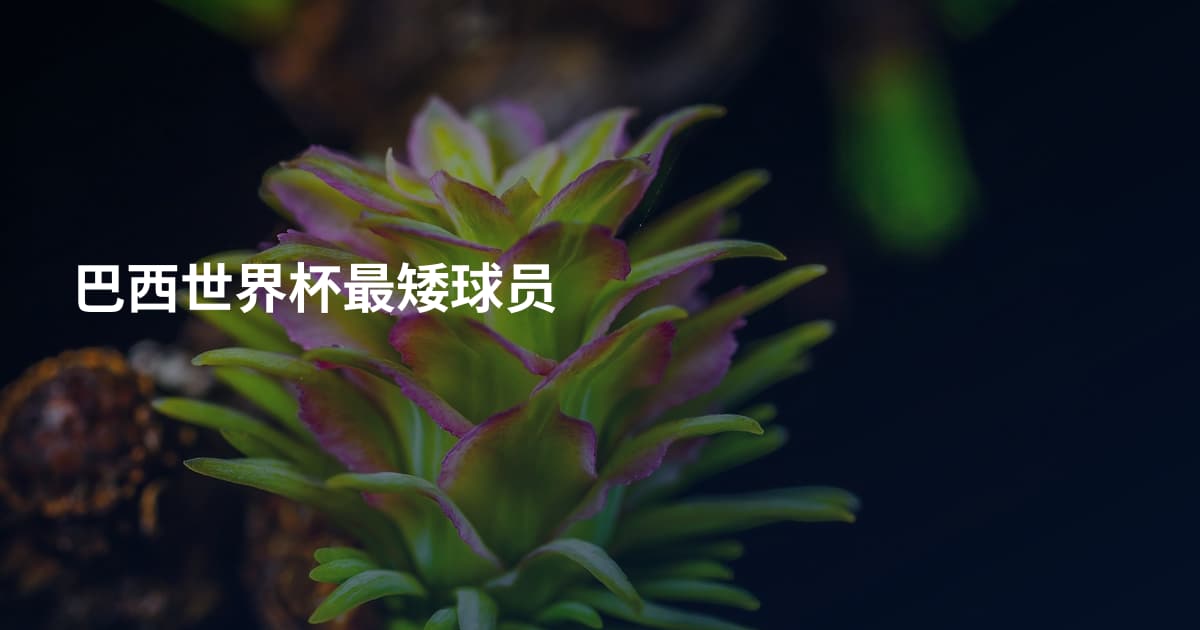 巴西世界杯最矮球员
