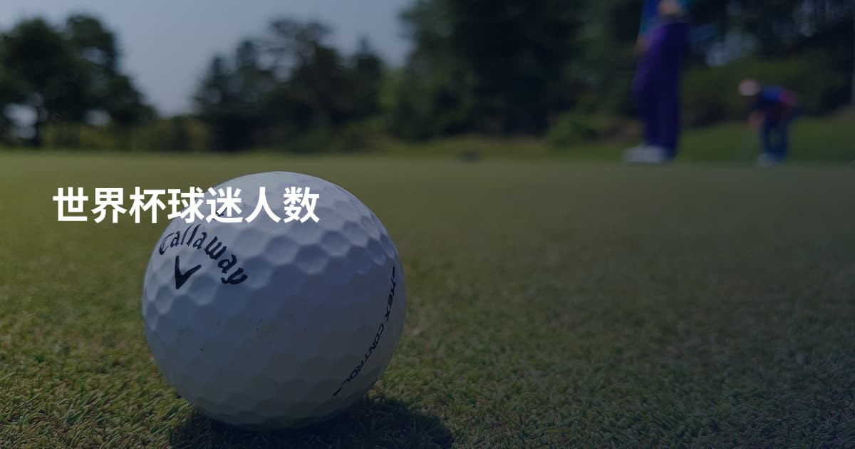 世界杯球迷人数