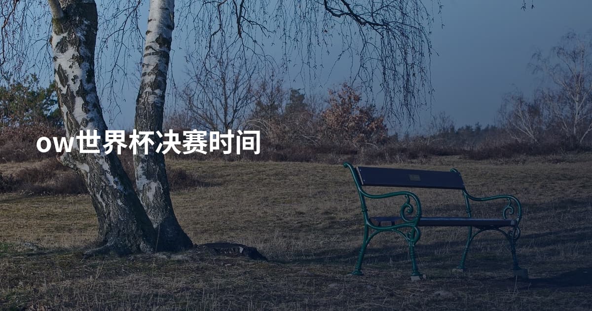 ow世界杯决赛时间