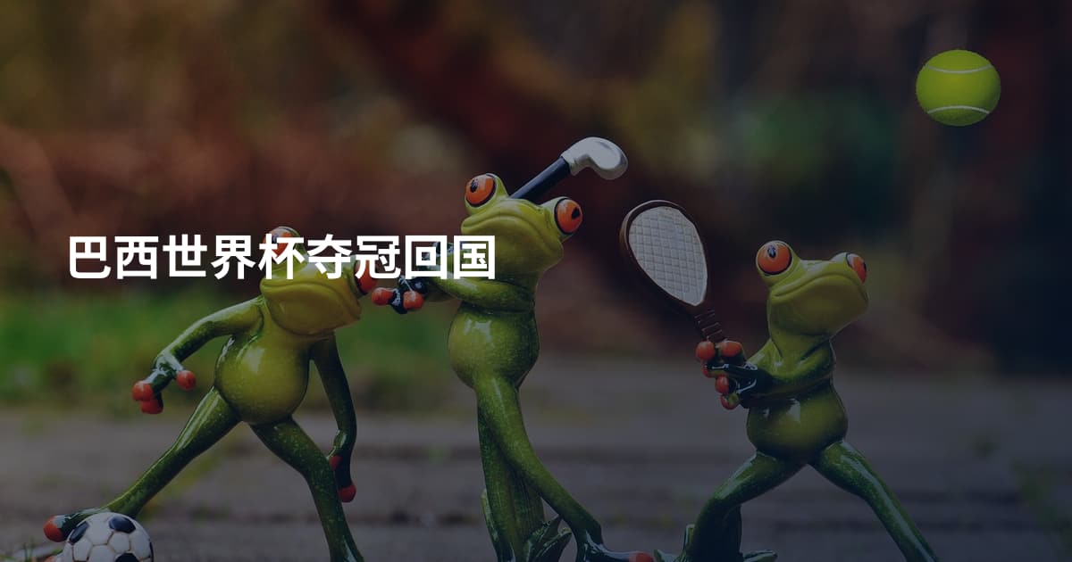 巴西世界杯夺冠回国