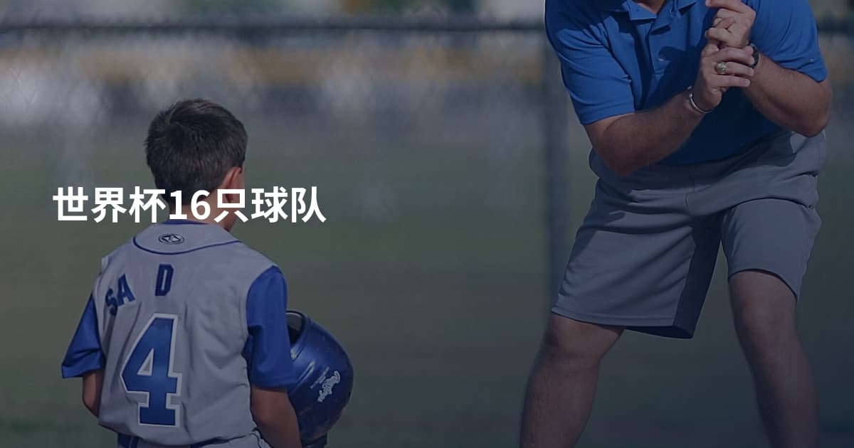 世界杯16只球队