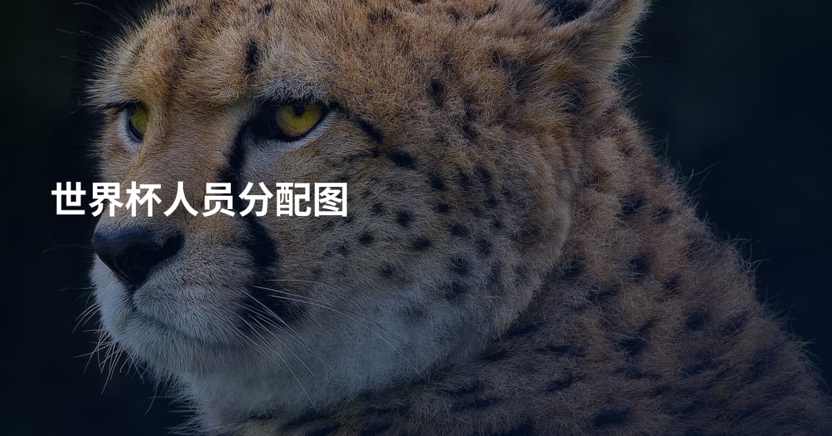 世界杯人员分配图