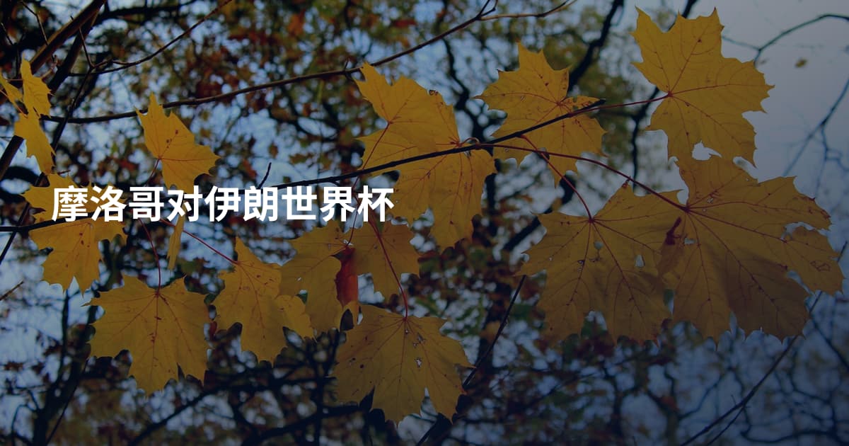 摩洛哥对伊朗世界杯