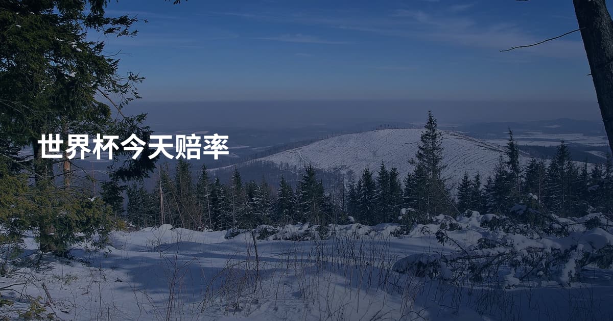 世界杯今天赔率