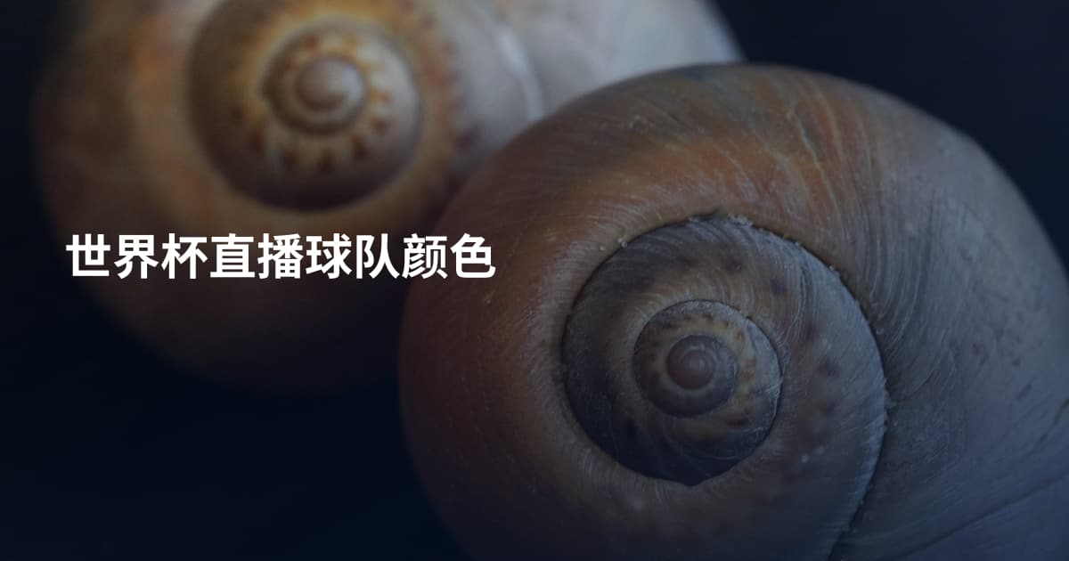 世界杯直播球队颜色