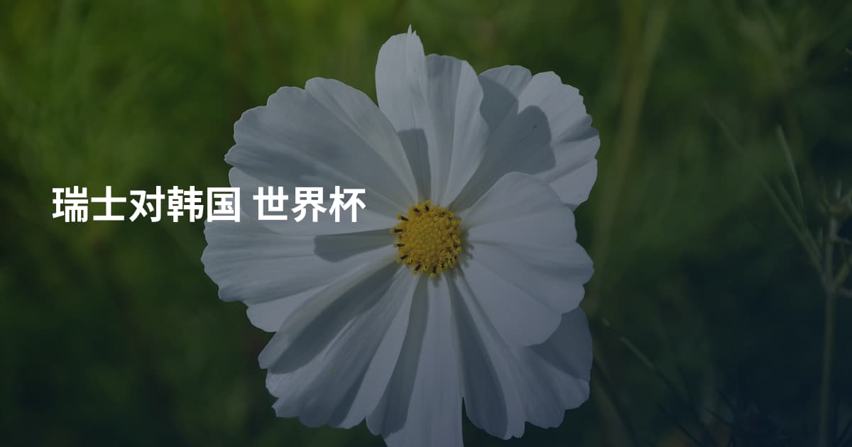瑞士对韩国 世界杯