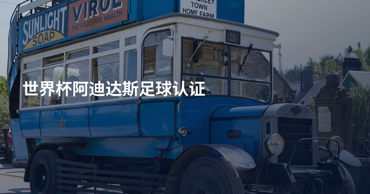 世界杯阿迪达斯足球认证