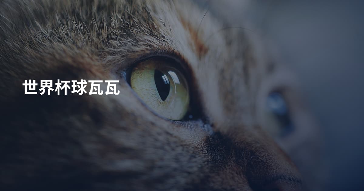 世界杯球瓦瓦