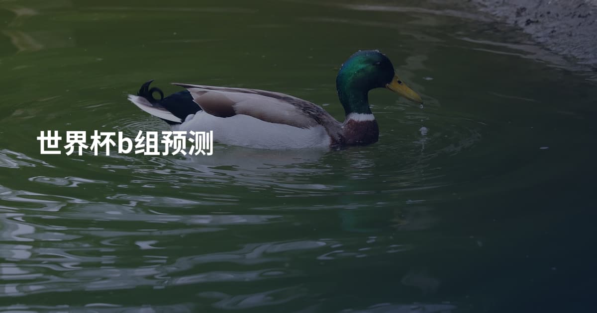 世界杯b组预测