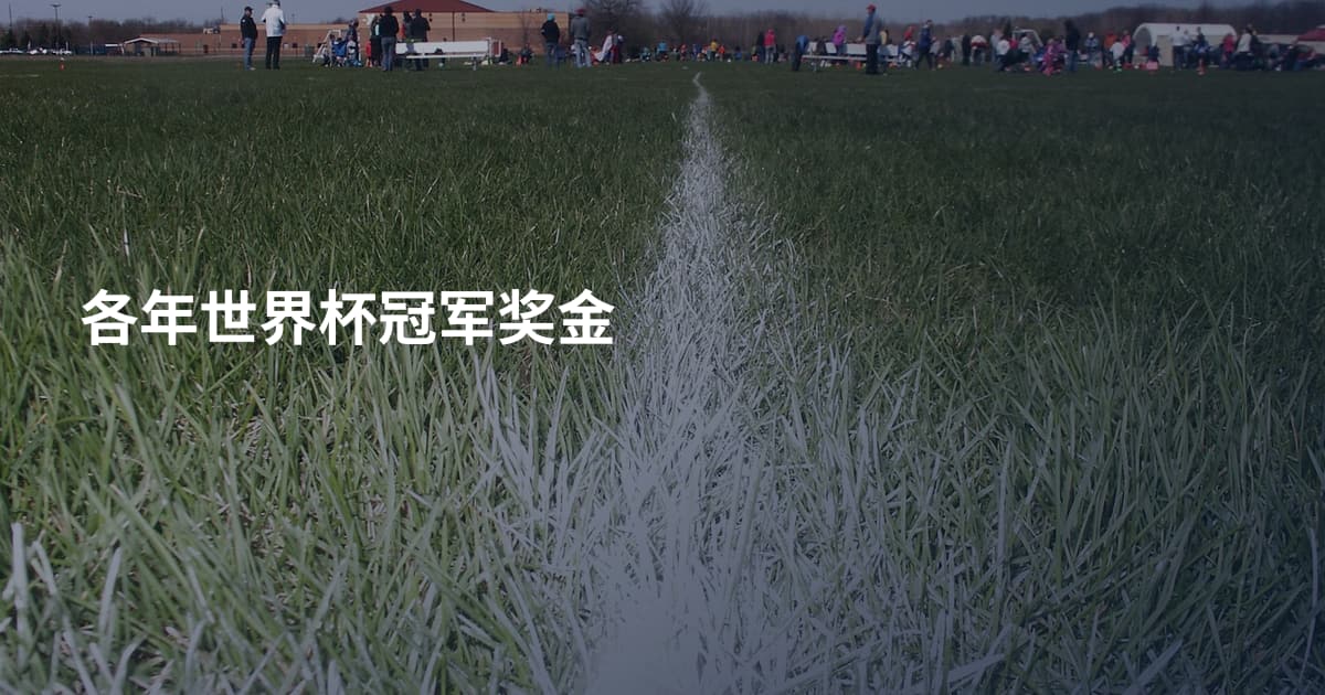 各年世界杯冠军奖金