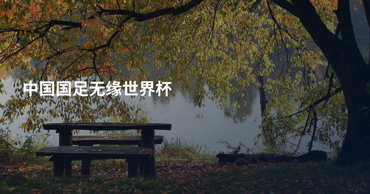 中国国足无缘世界杯