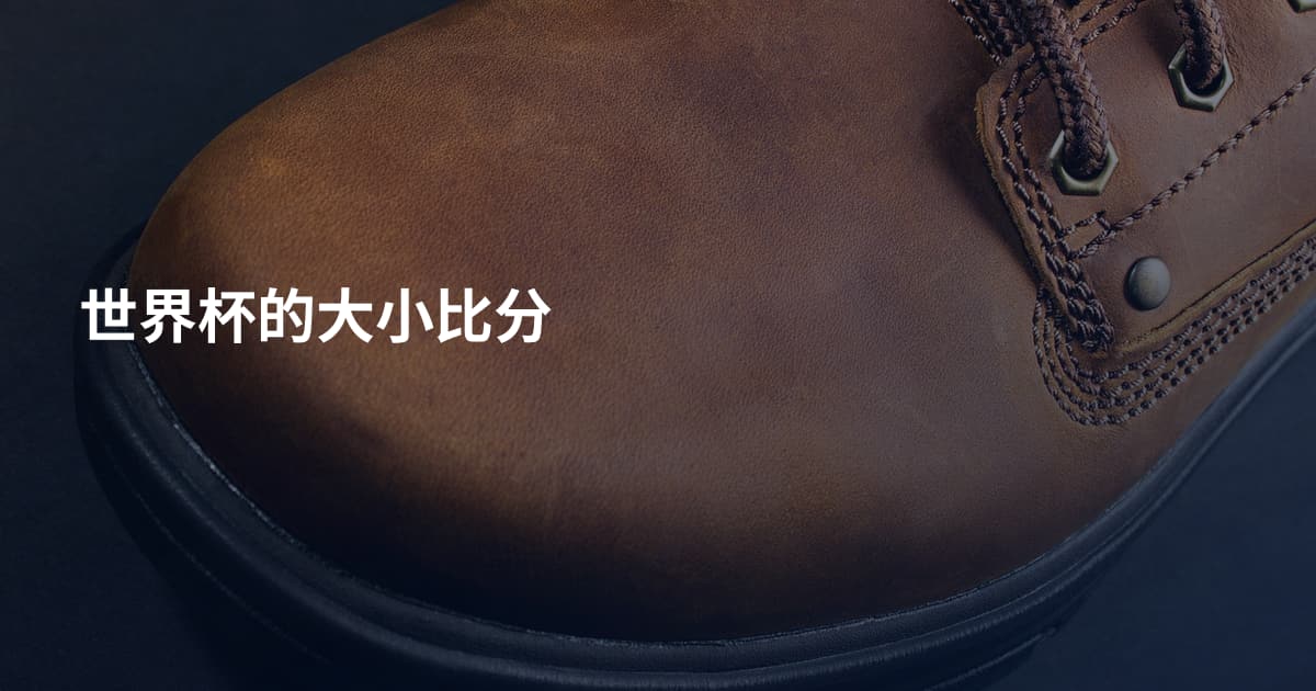 世界杯的大小比分