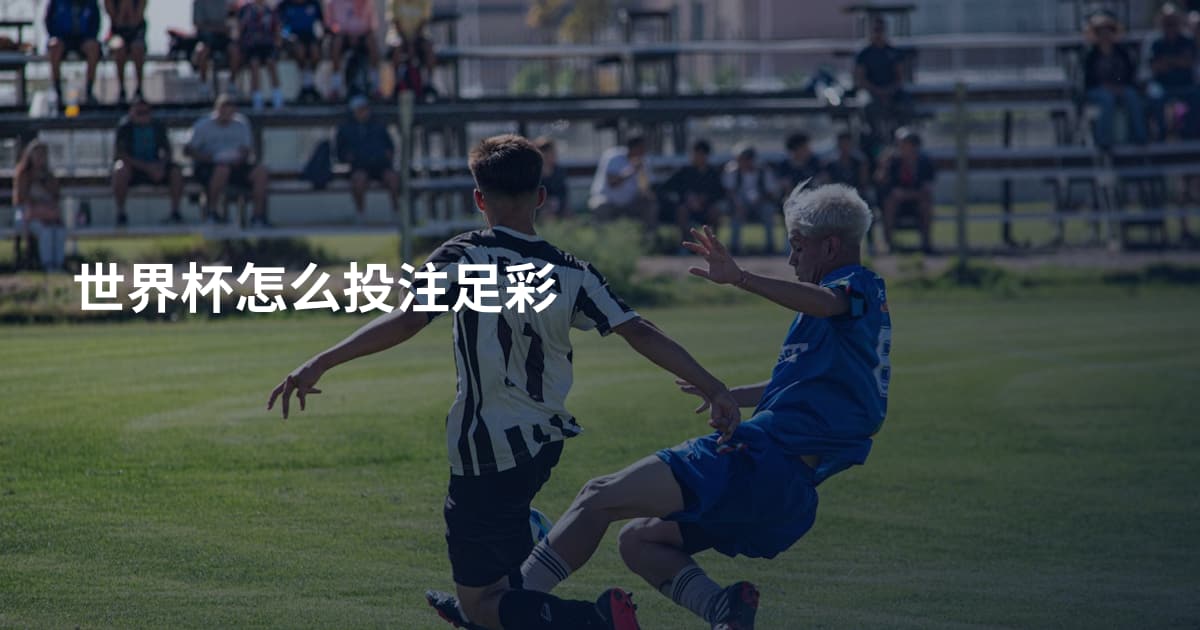 世界杯怎么投注足彩