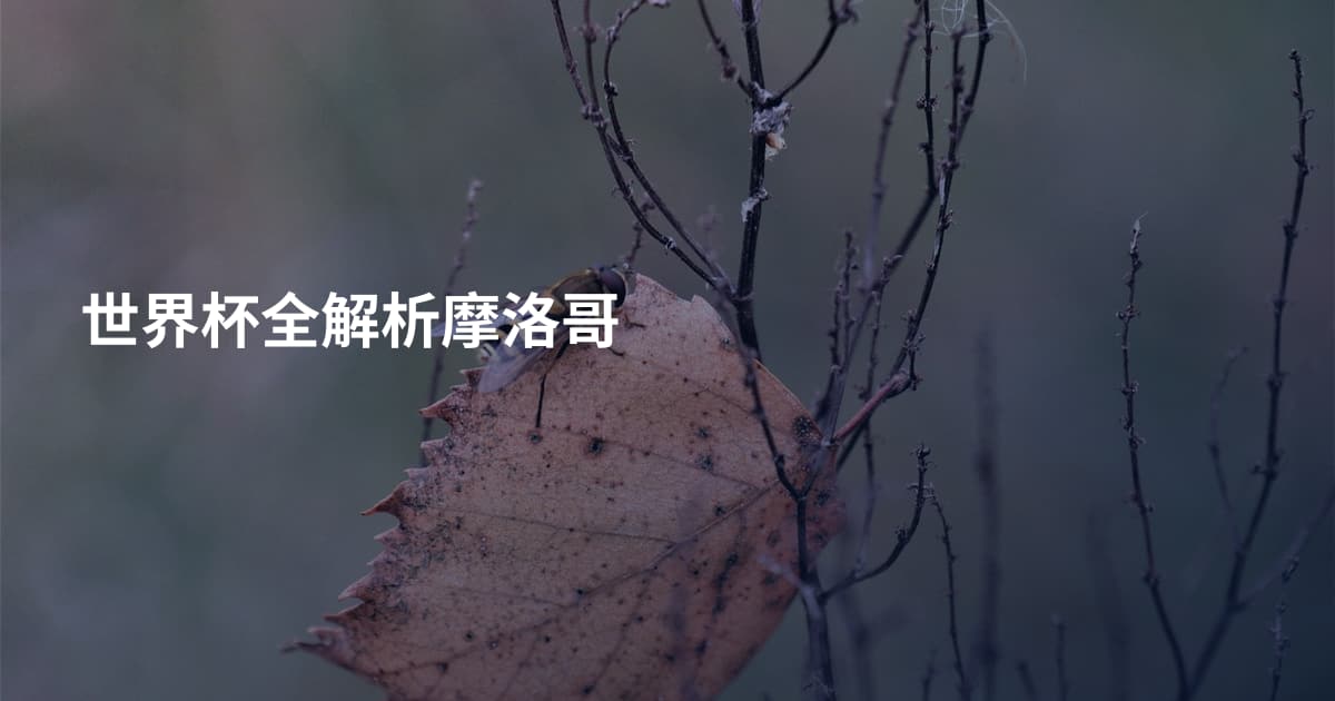 世界杯全解析摩洛哥