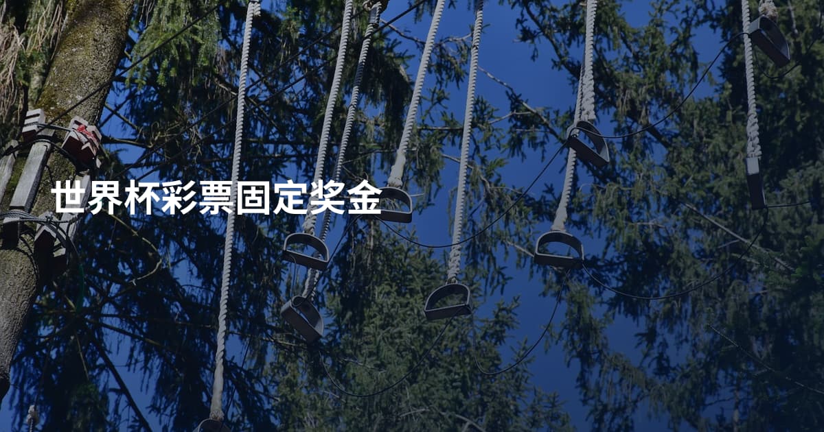 世界杯彩票固定奖金